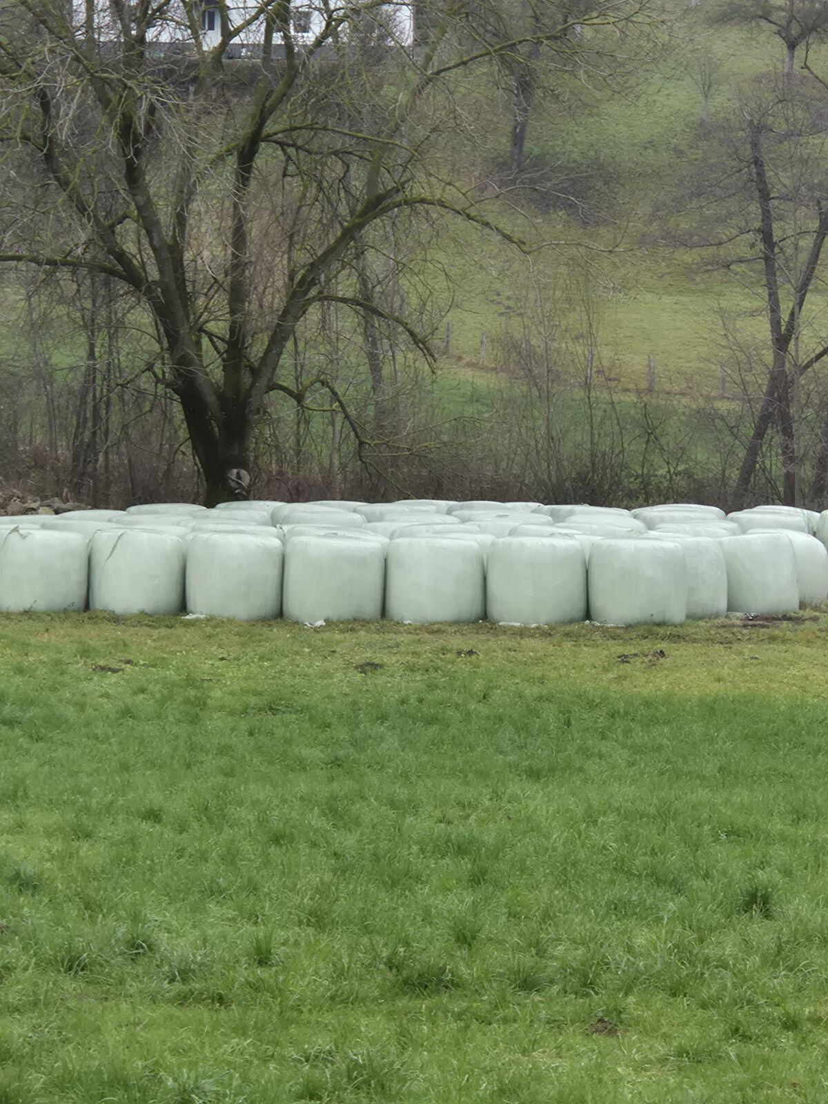 Verkaufe Silageballen, zirka 30 Stk. 1