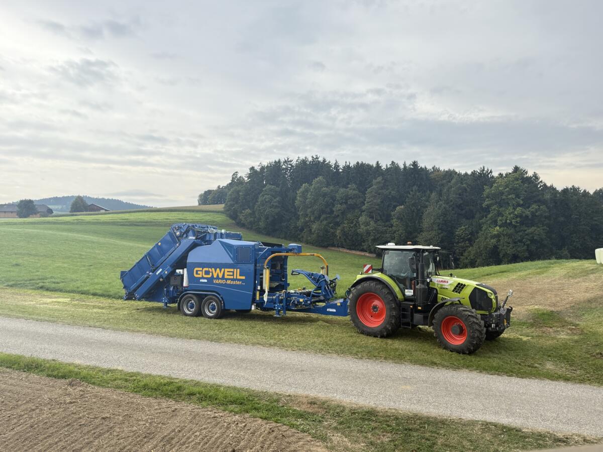 Bio Maisballen zu verkaufen 2