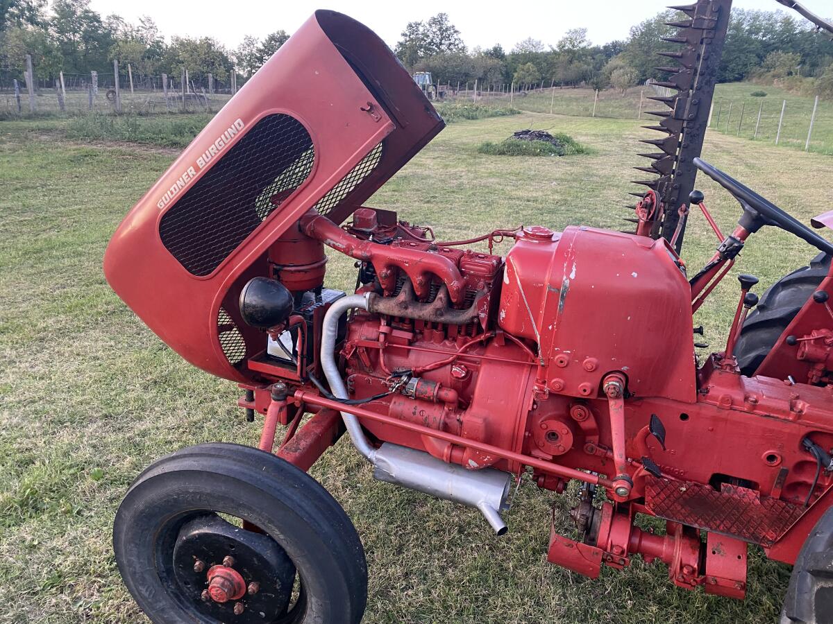 Gulden Burgund A3KA 3