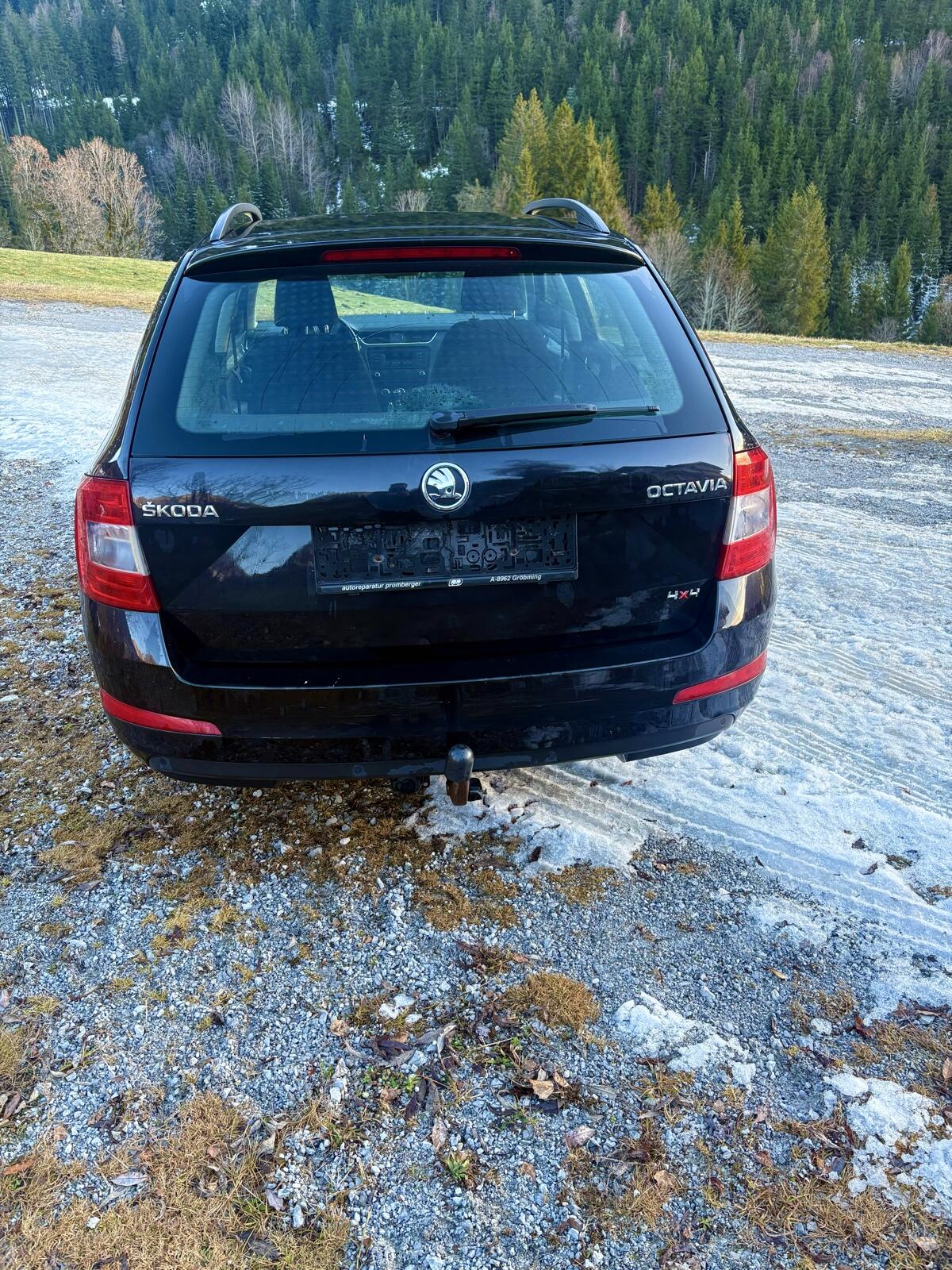 Skoda Octavia Combi 1,6 Ambition TDI 4x4 3