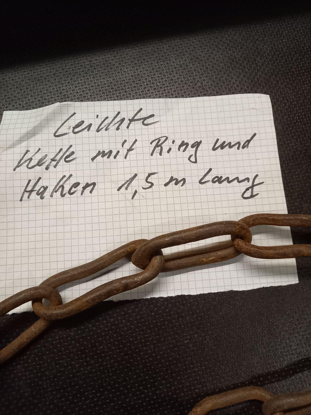 Kurze leichte Kette mit Haken und Ring 2