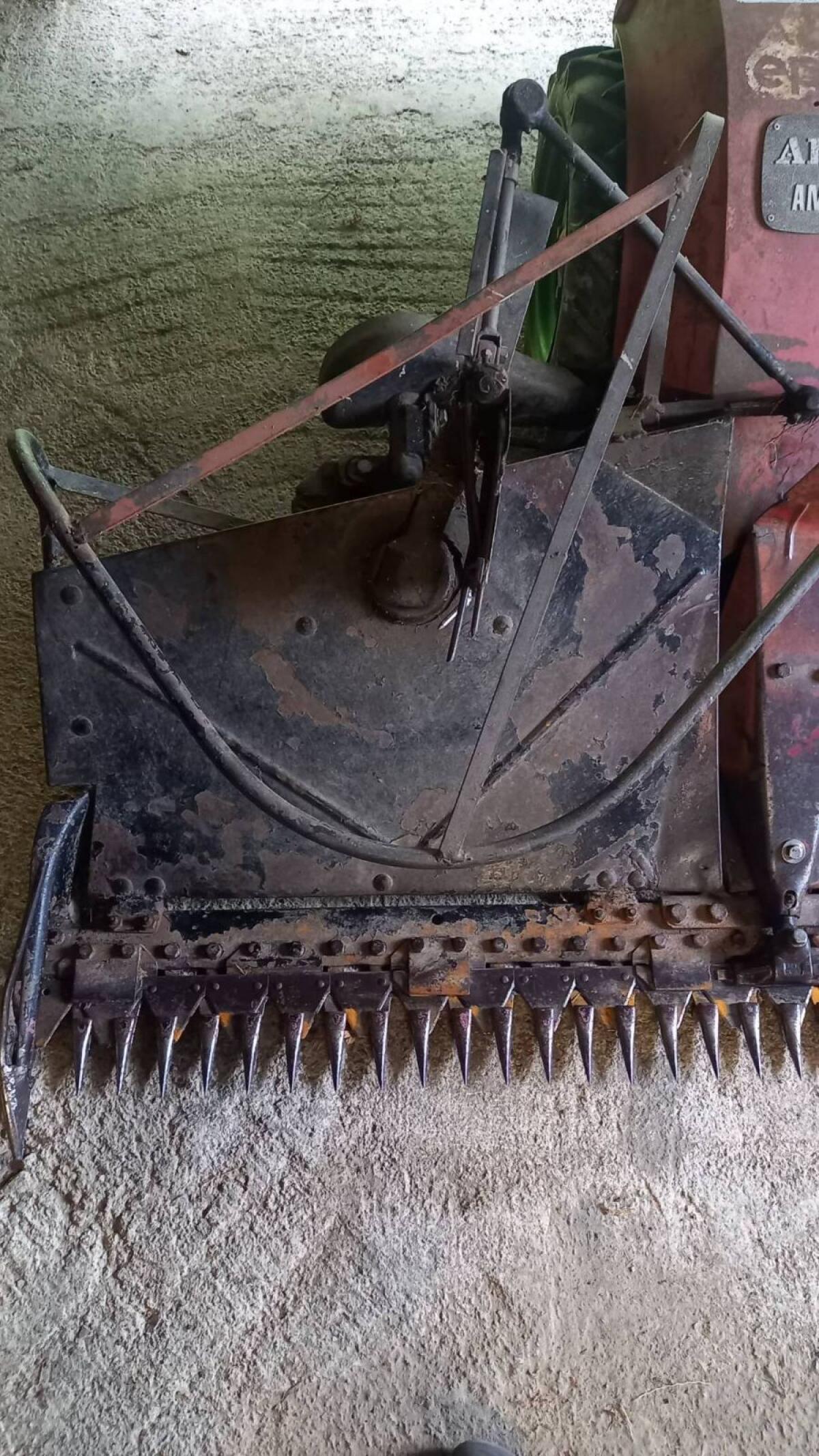 Eingrasmäher Aebi AM 52 2