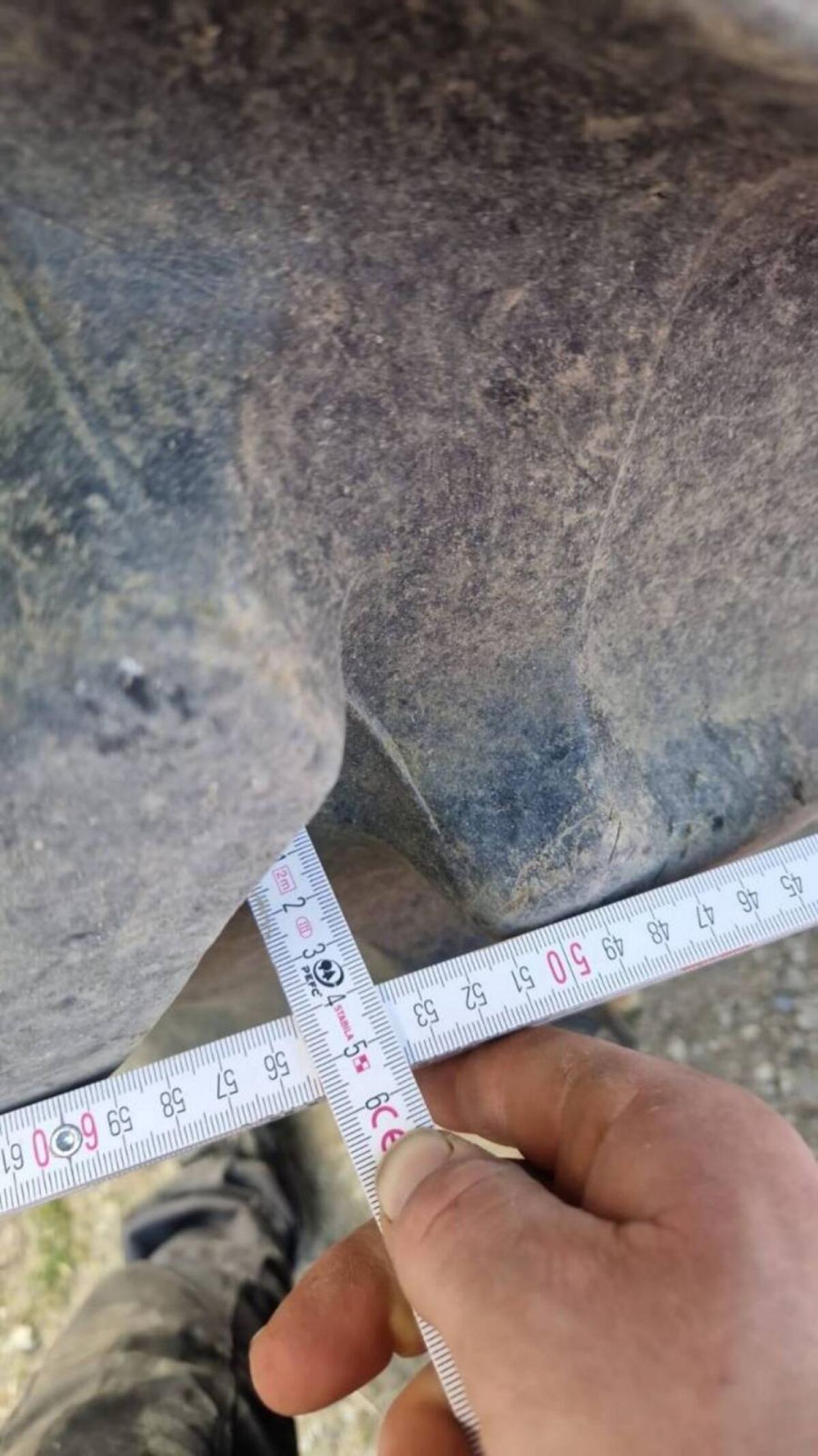 Reifen Trelleborg TM 700 2