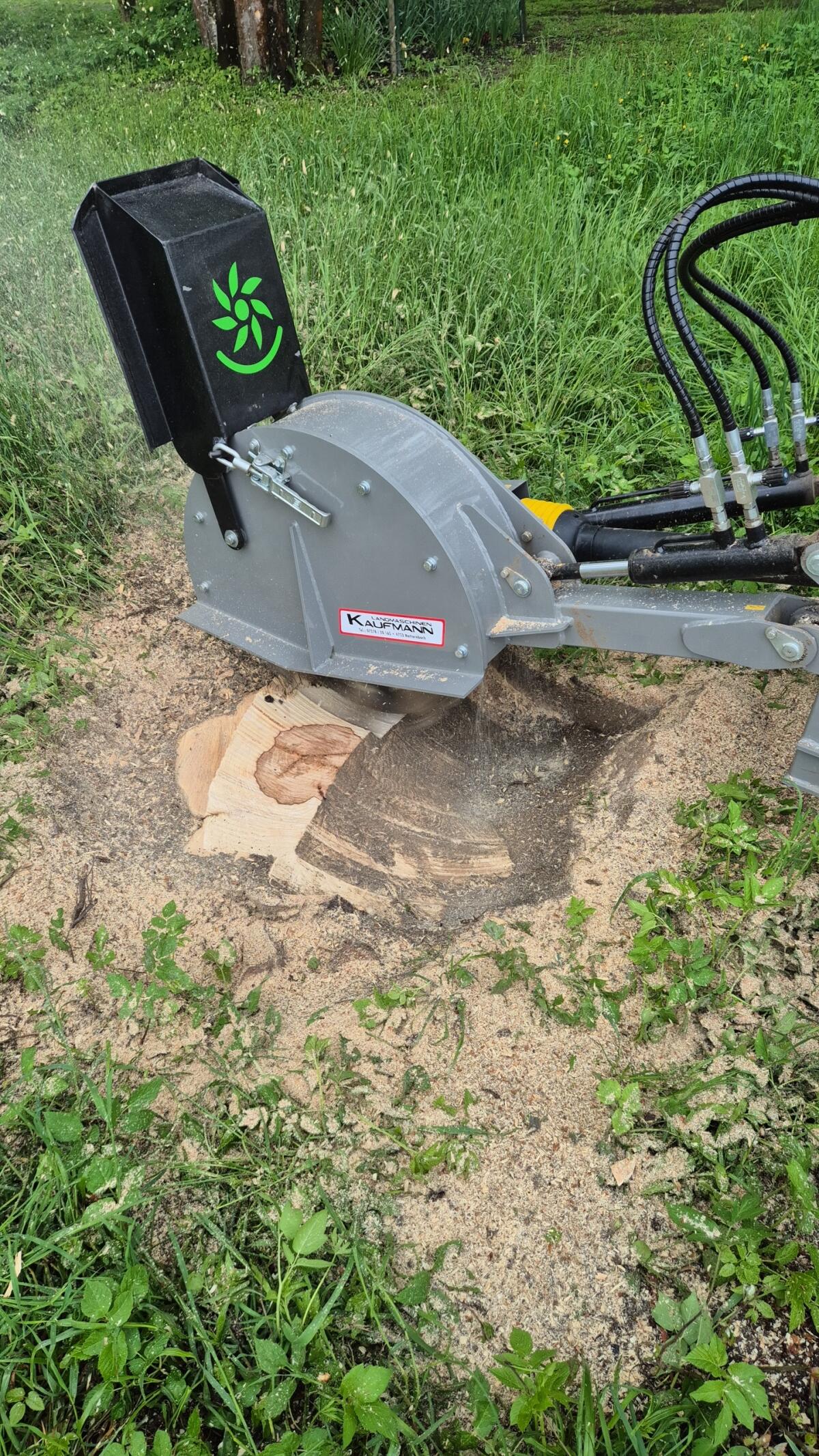 Wurzelstockfräsen, Baumfällung, Baumstumpffräsen 2