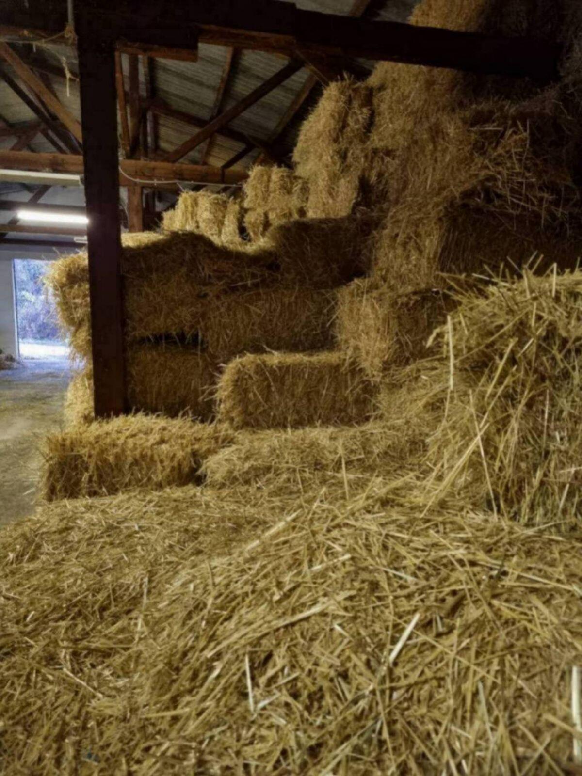 Stroh Kleinballen Restmenge Ernte 2024 3