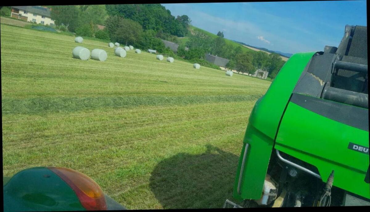 Grassilage, Maissilage, Belüftungsheu, Pferdeheu und Stroh 2