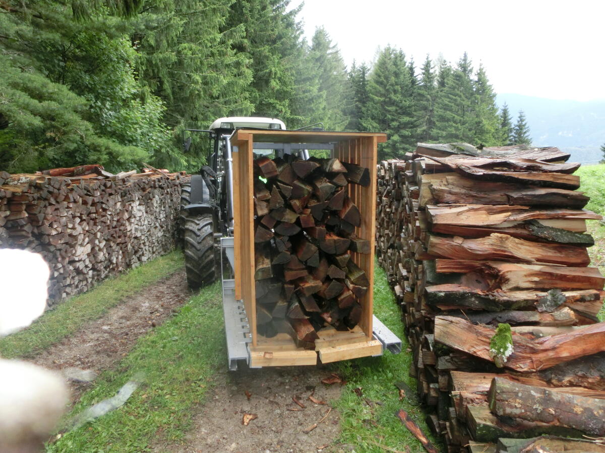 Brennholzmacher 2