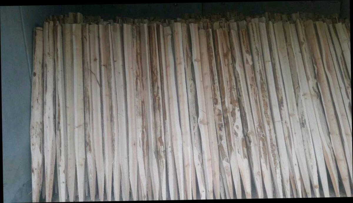 Almlärchenstempel 3