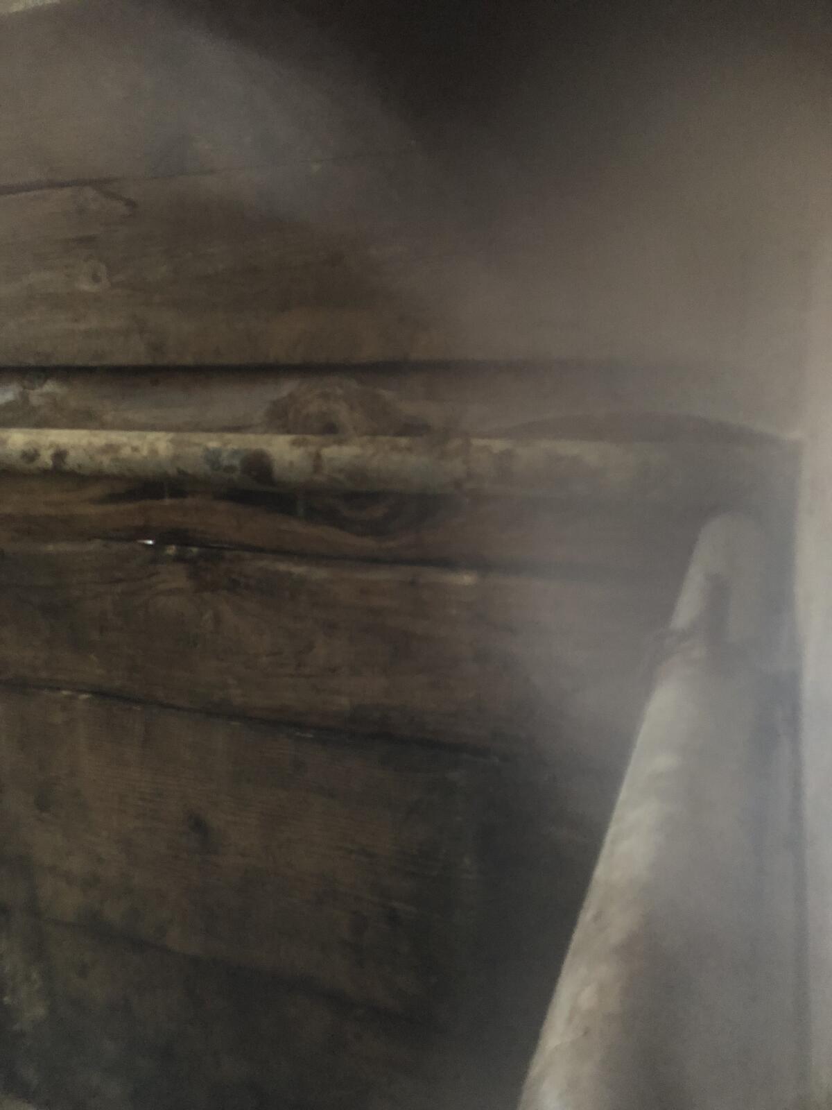 Eigenbau Viehanhänger 3