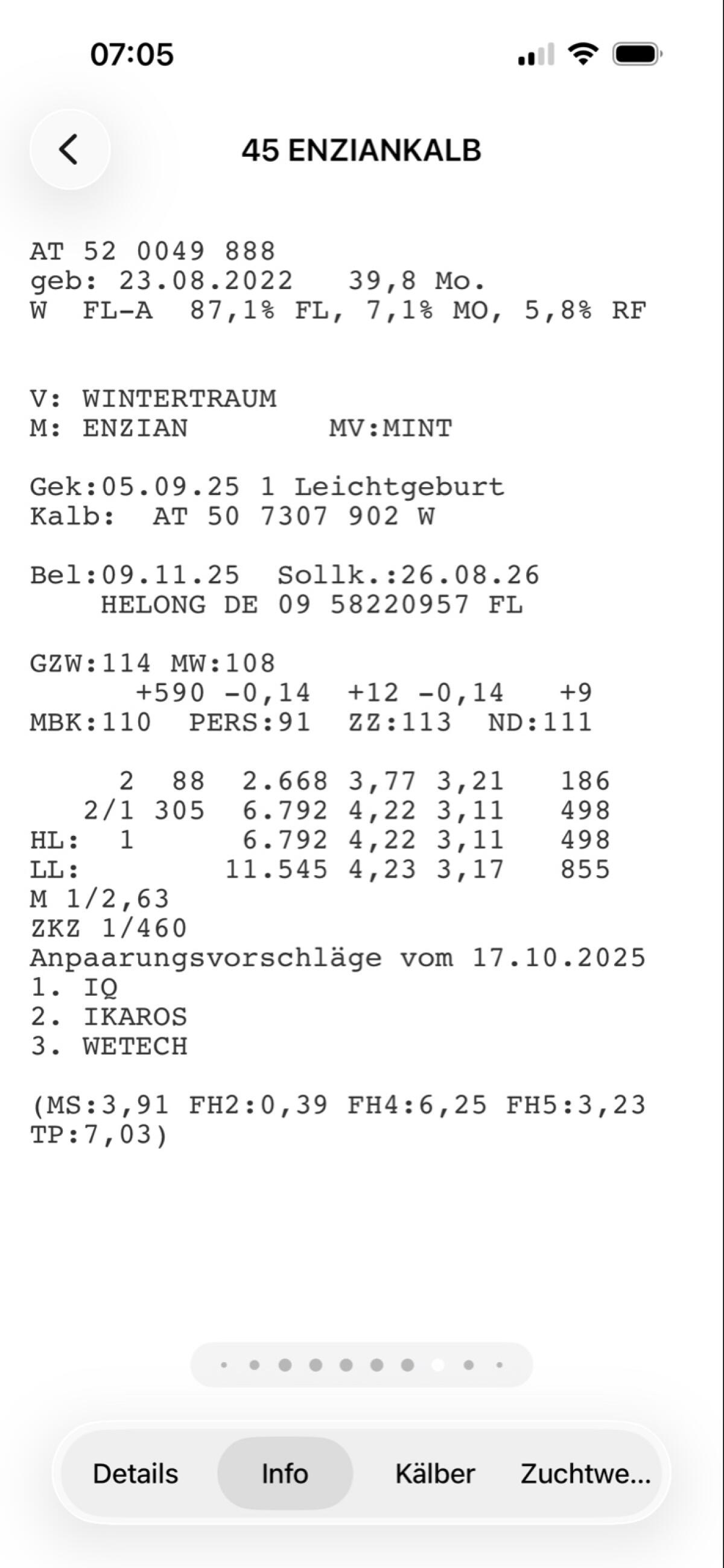 Verkaufe trächtige Bio FV Kühe in Milch 2