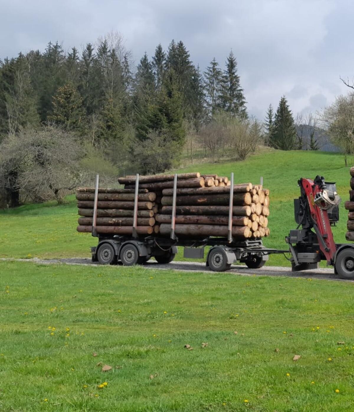 Holztransport Anhänger 2
