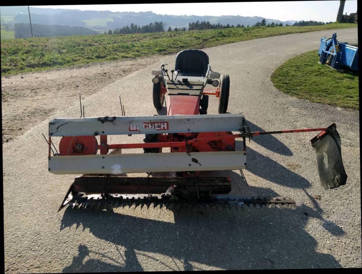 Eingrasmäher Bucher 550 3