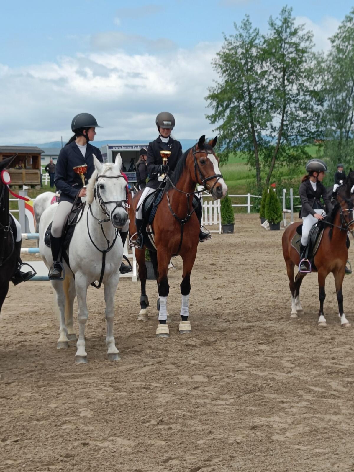 Tolles Beistellpferd bedingt reitbar 2