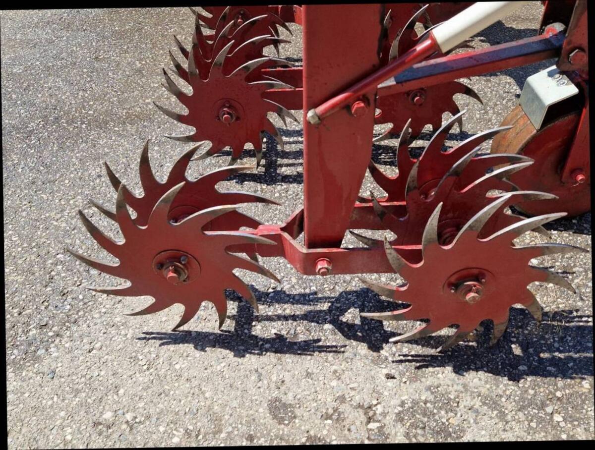 Badalini Rollhacke 3