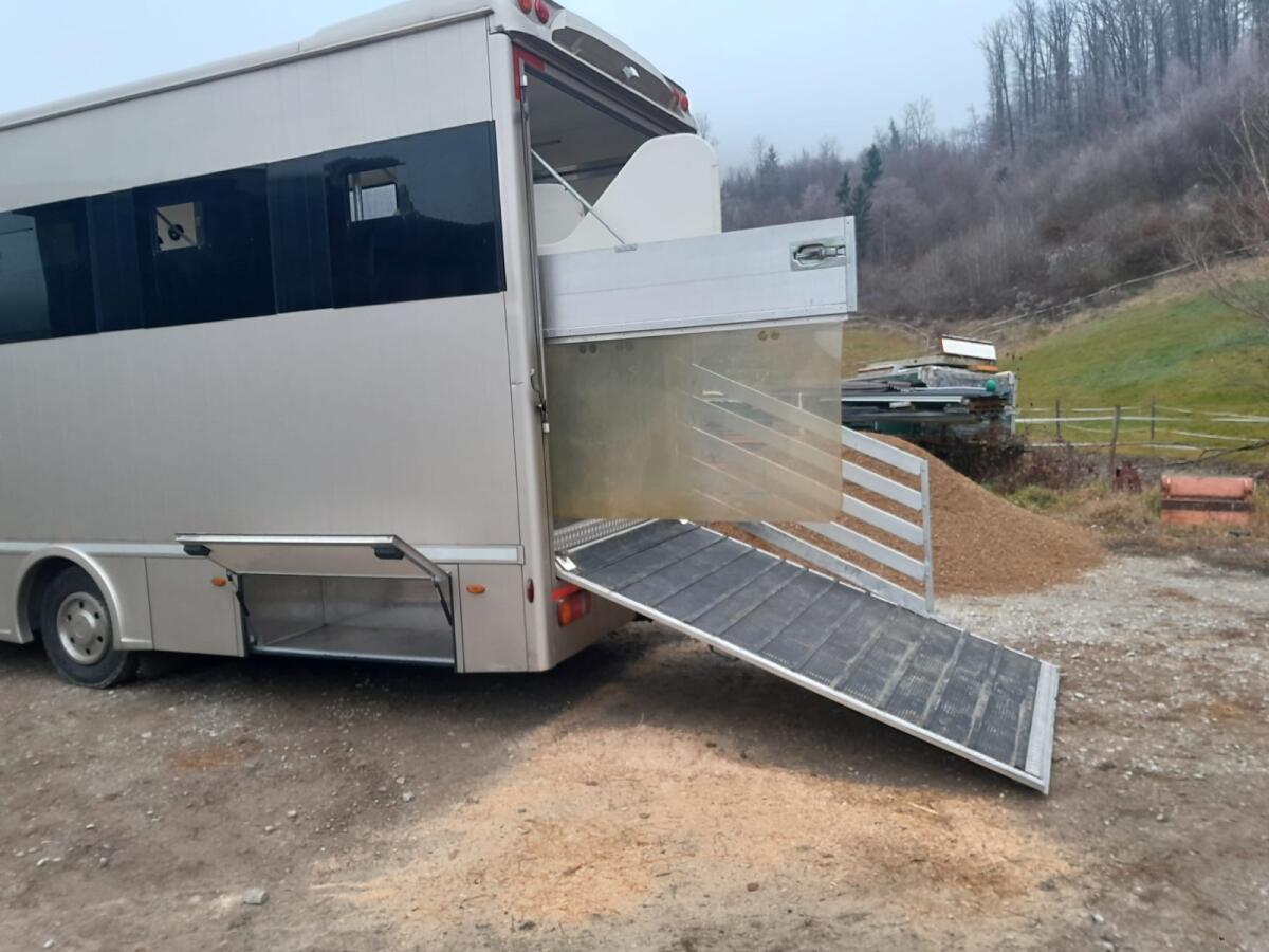 MAN - Pferdetransporter / Wohnwagen 3