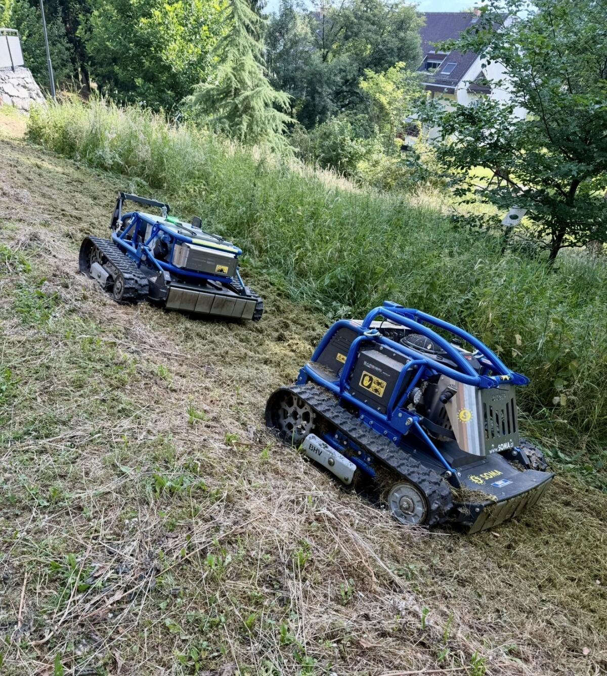 Landschaftspflege: Mulchen, Mähen, Kehren 2