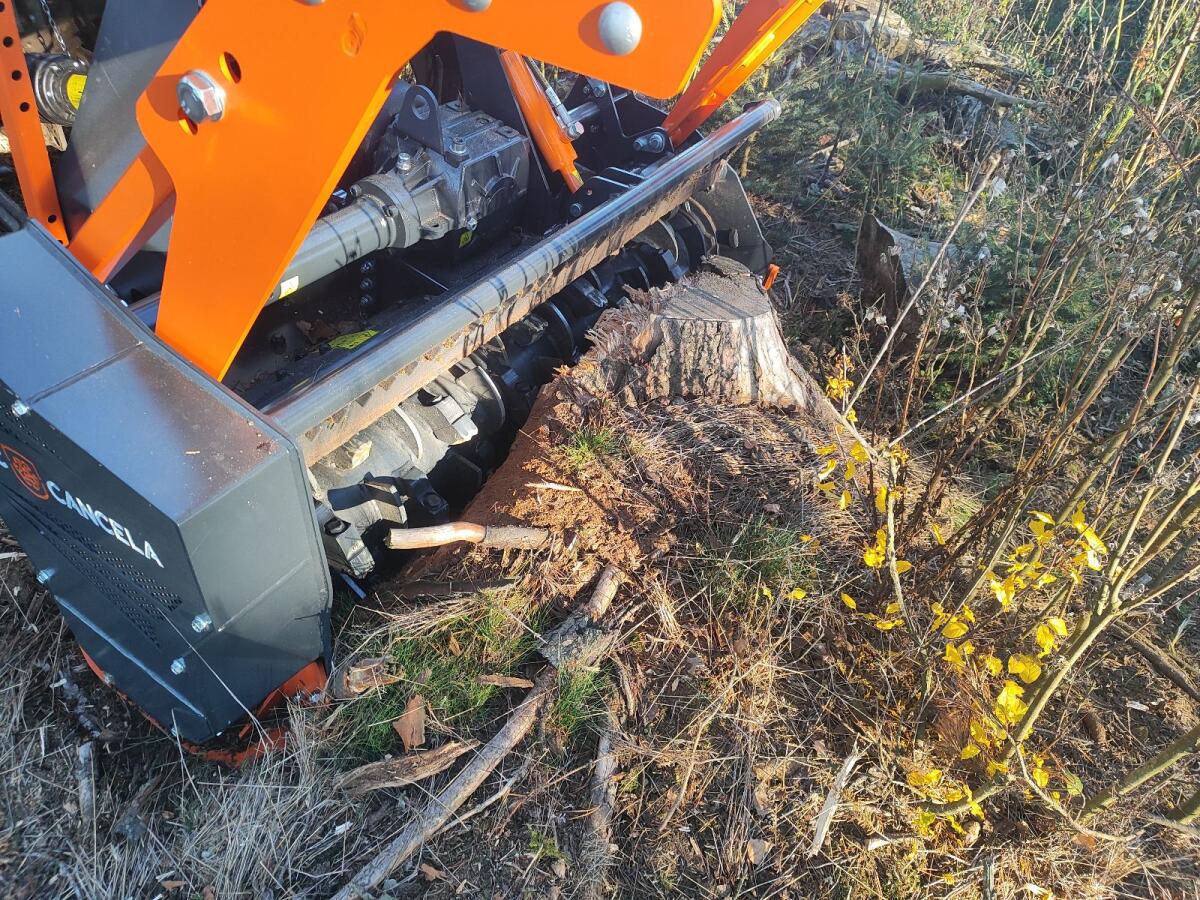 Vermiete Forstmulcher 3