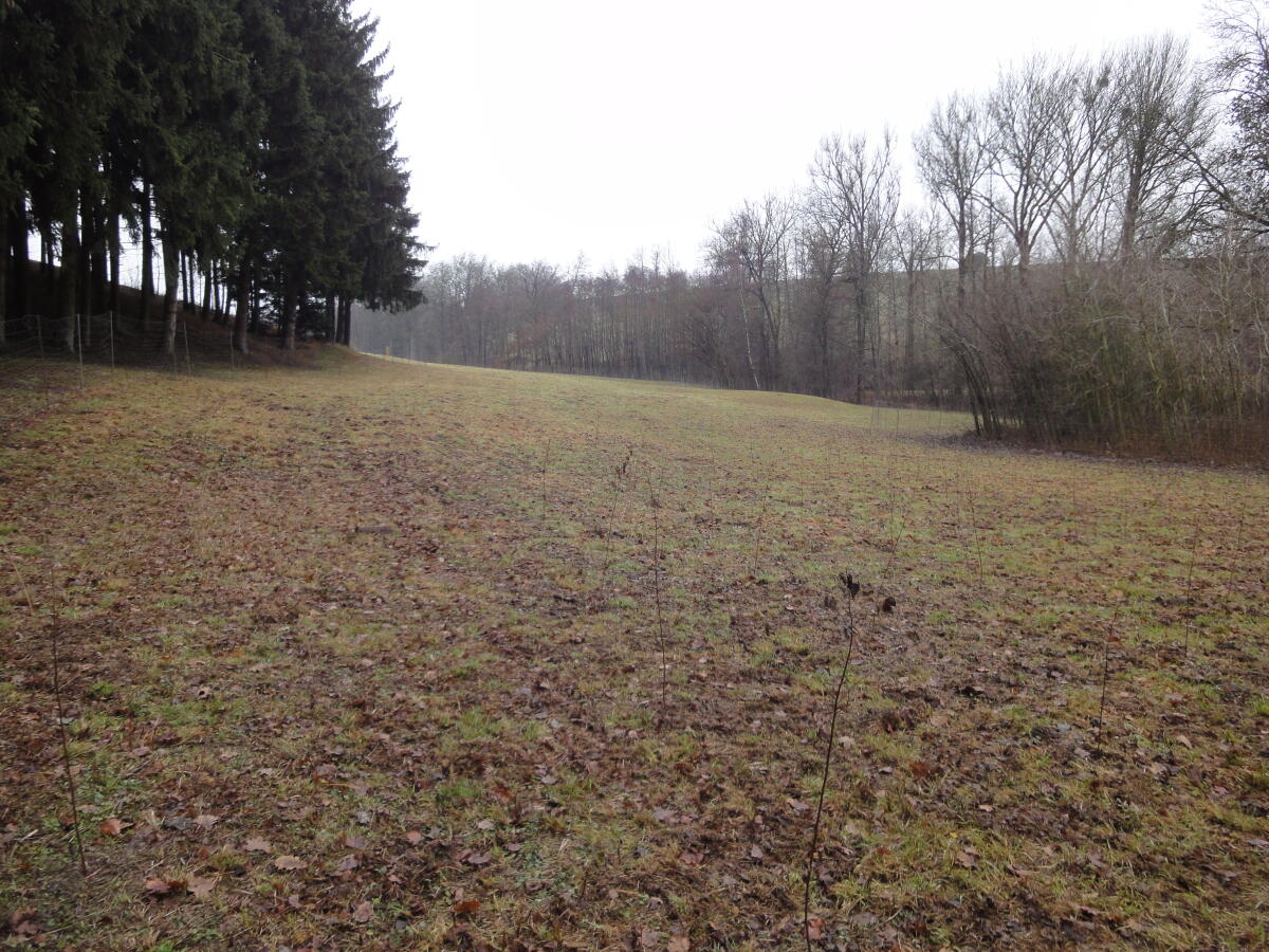 Vergebe Ausgleichsflächen, Ersatzflächen 2