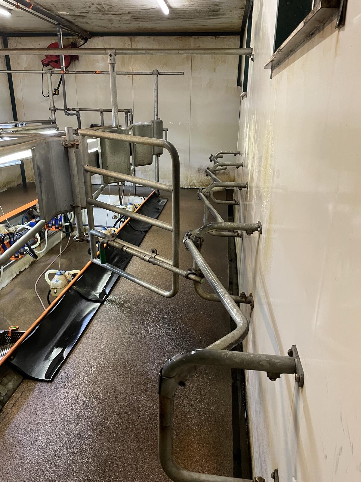 2x3 Fischgrät-Melkstand Etscheid 3