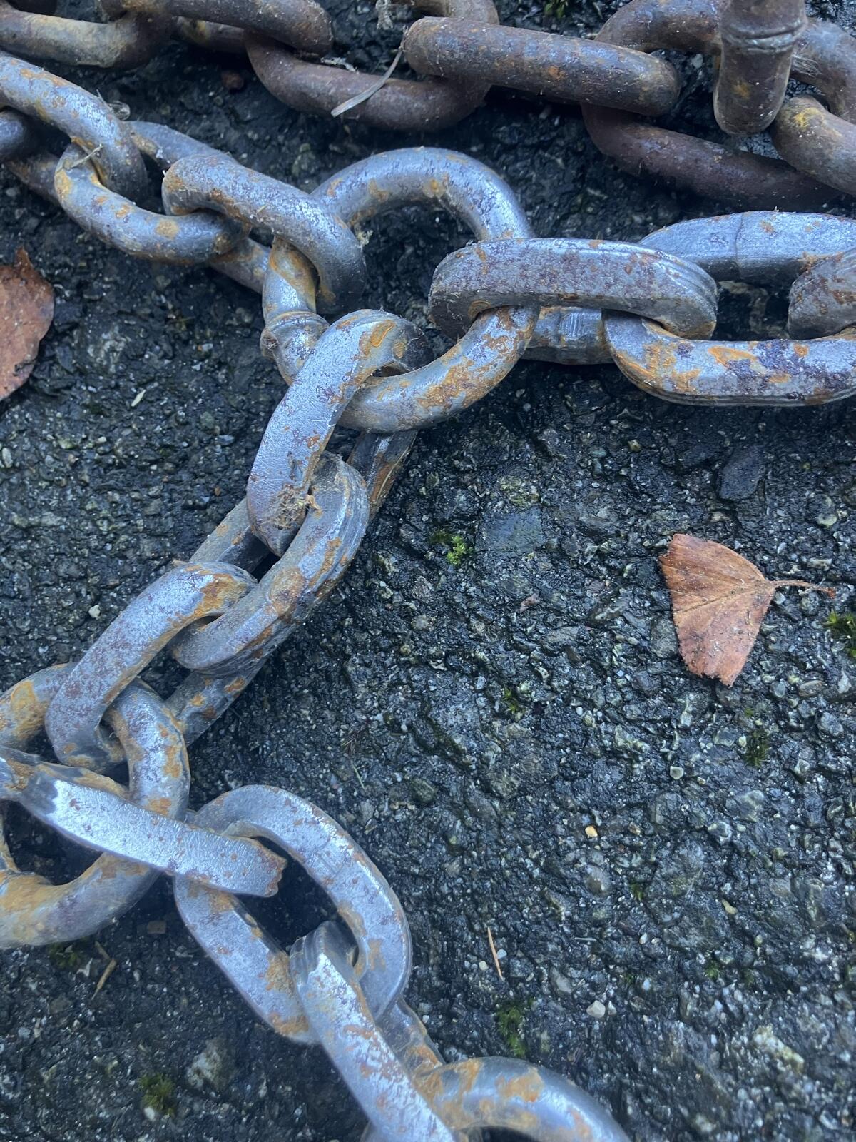 Schneeketten 440/65 R24 Pewag 2