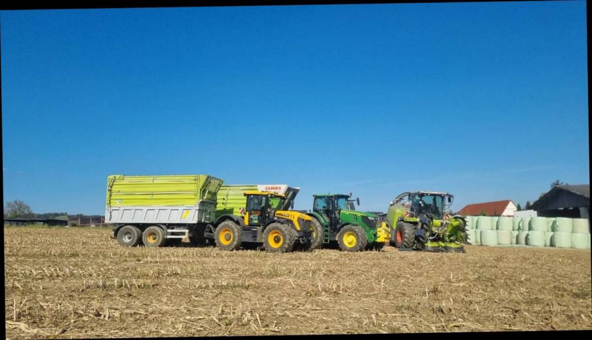 Maisballen - TOP Qualität 3