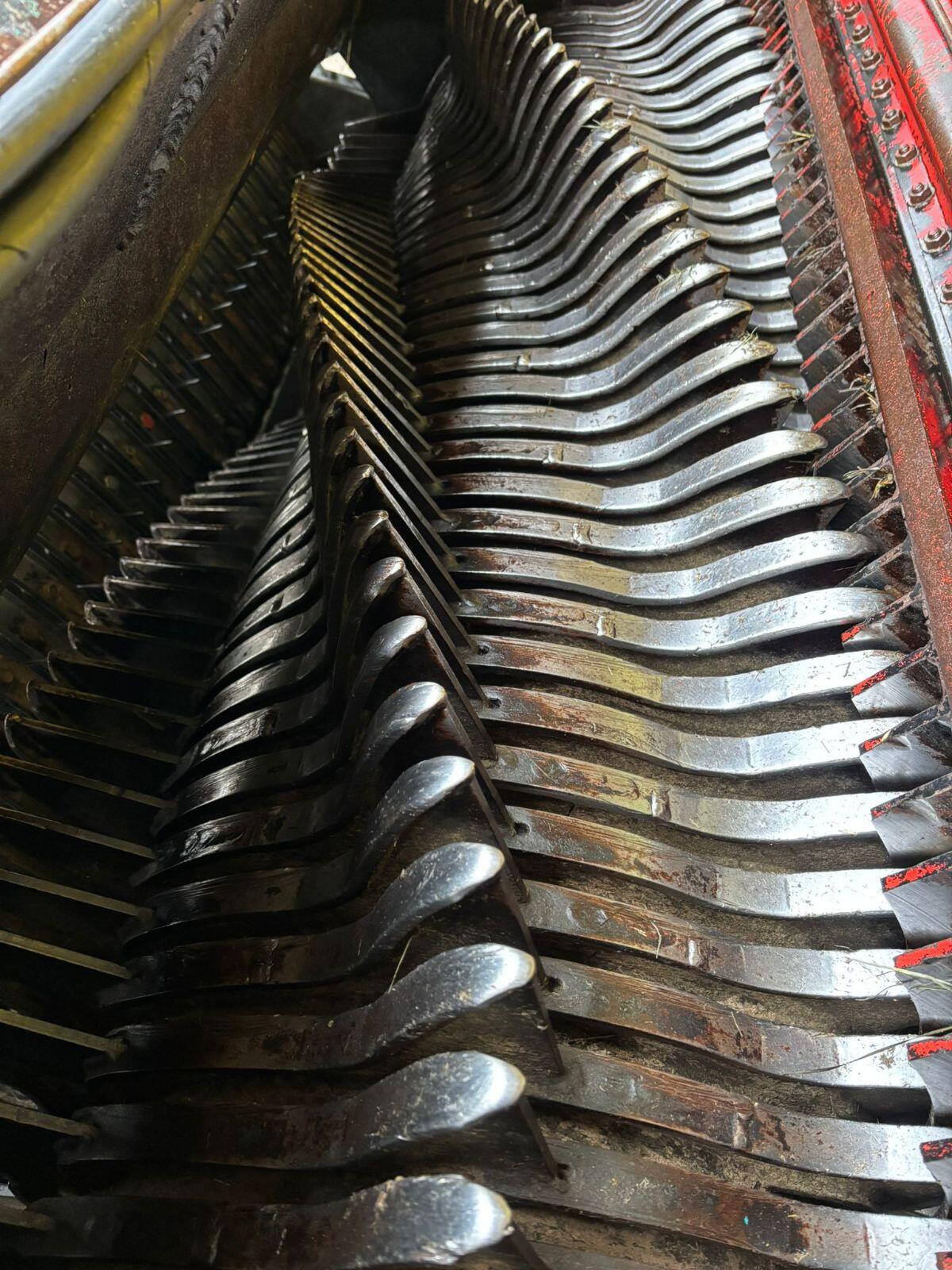 Mengele Rotobull 5000 mit 40 Messern 3