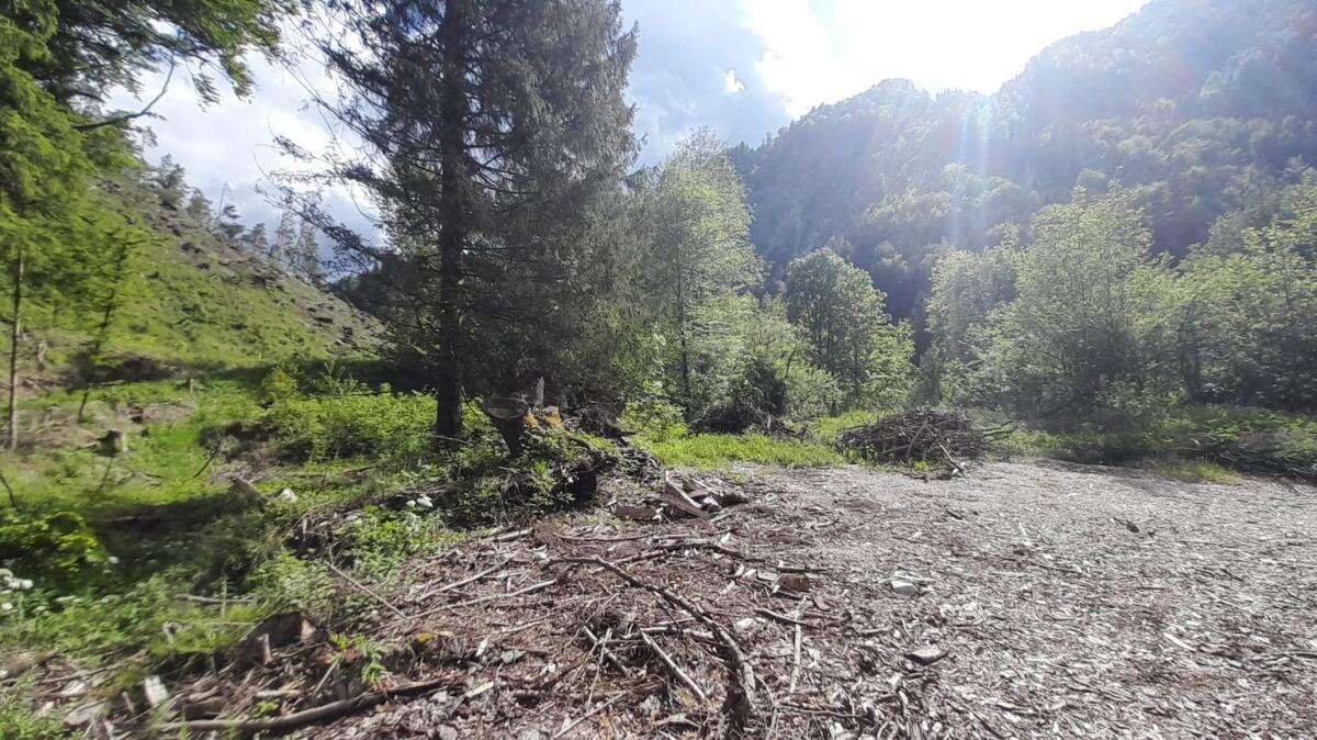 Arrondiertes landwirt. Grundstück mit Baugrund Ferlach 1
