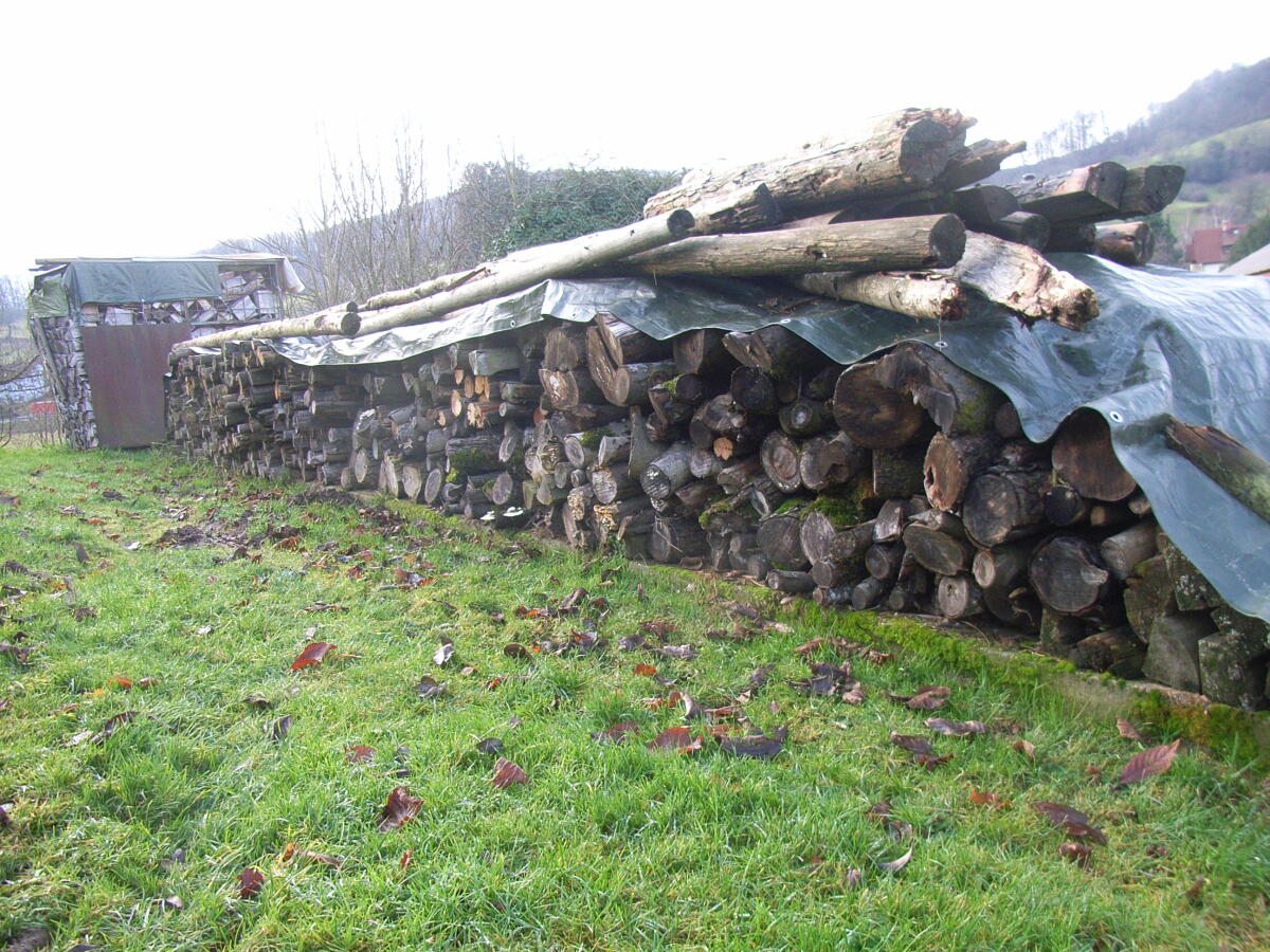 Brennholz aus Restholz / 2. Wahl 2