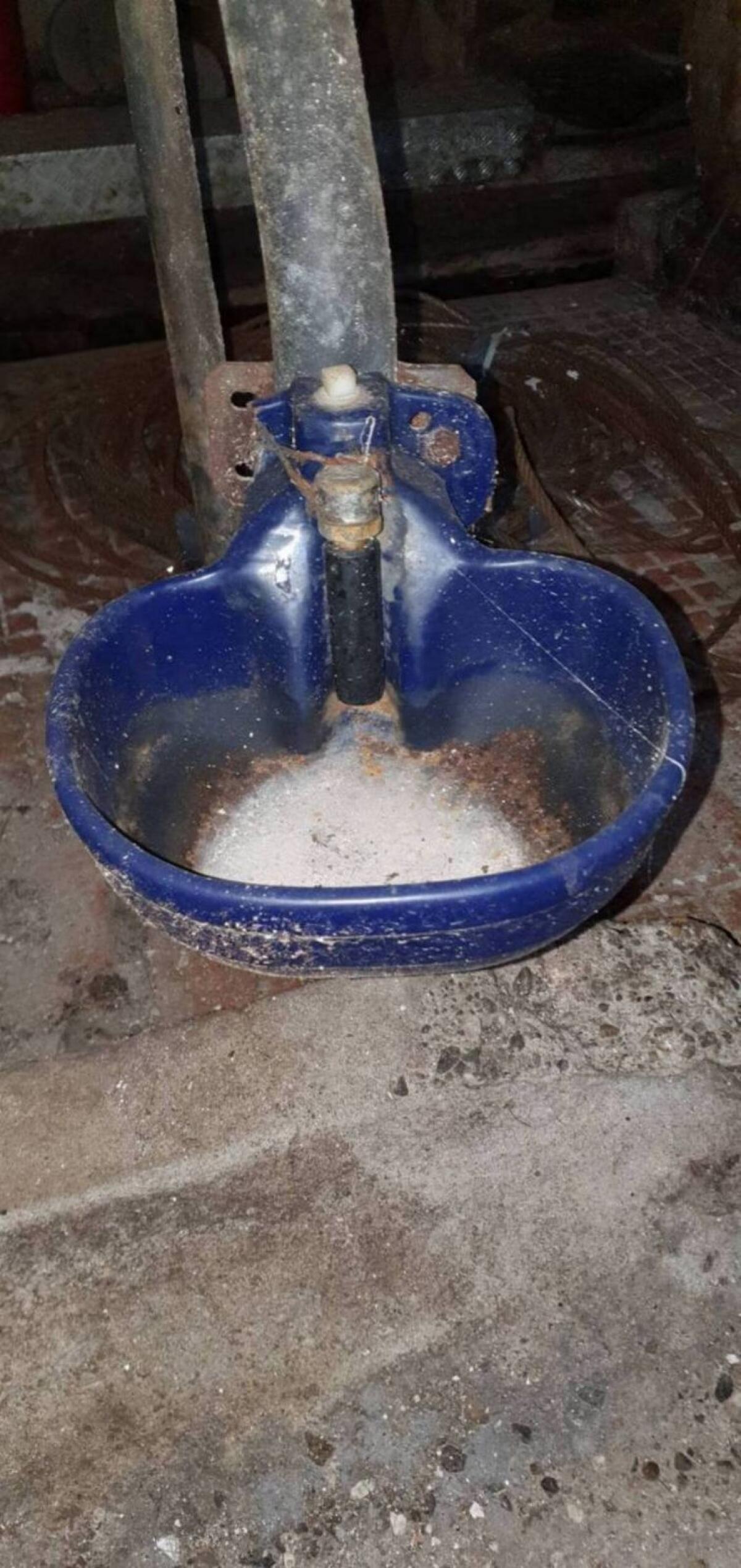 Stalleinrichtung, Tränker 3