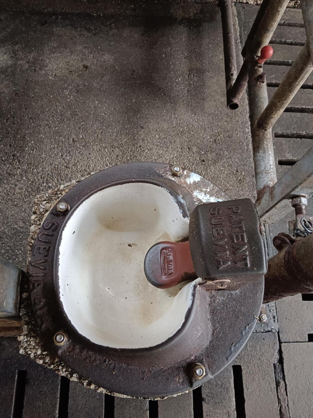 Kraftfutterstation, Tränker, Wasserwanne 3