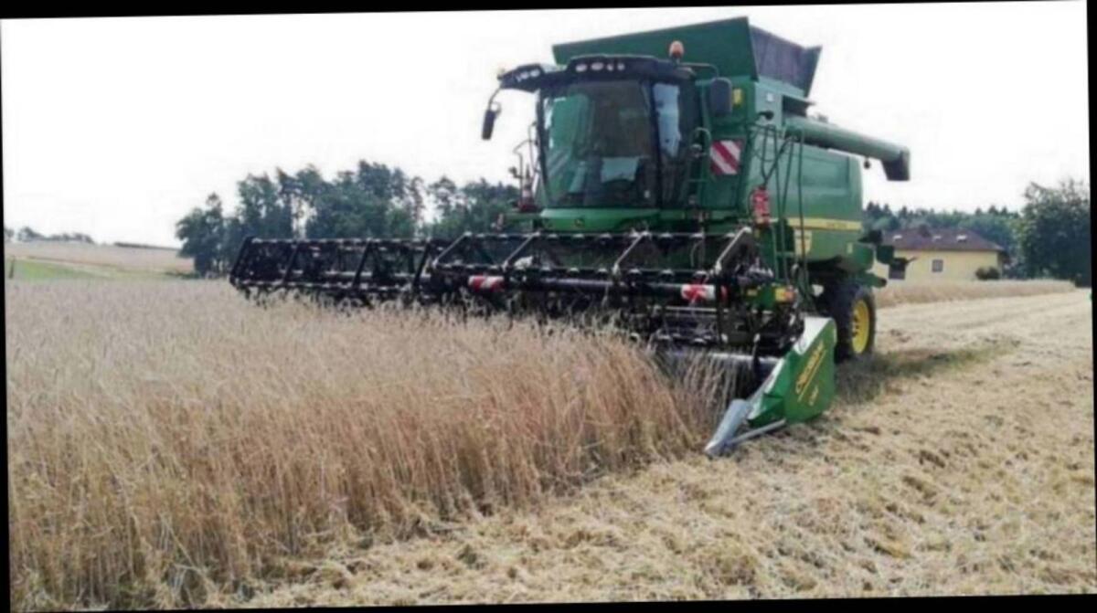 Praktikumsplatz 2026 in OÖ (m/w) 2