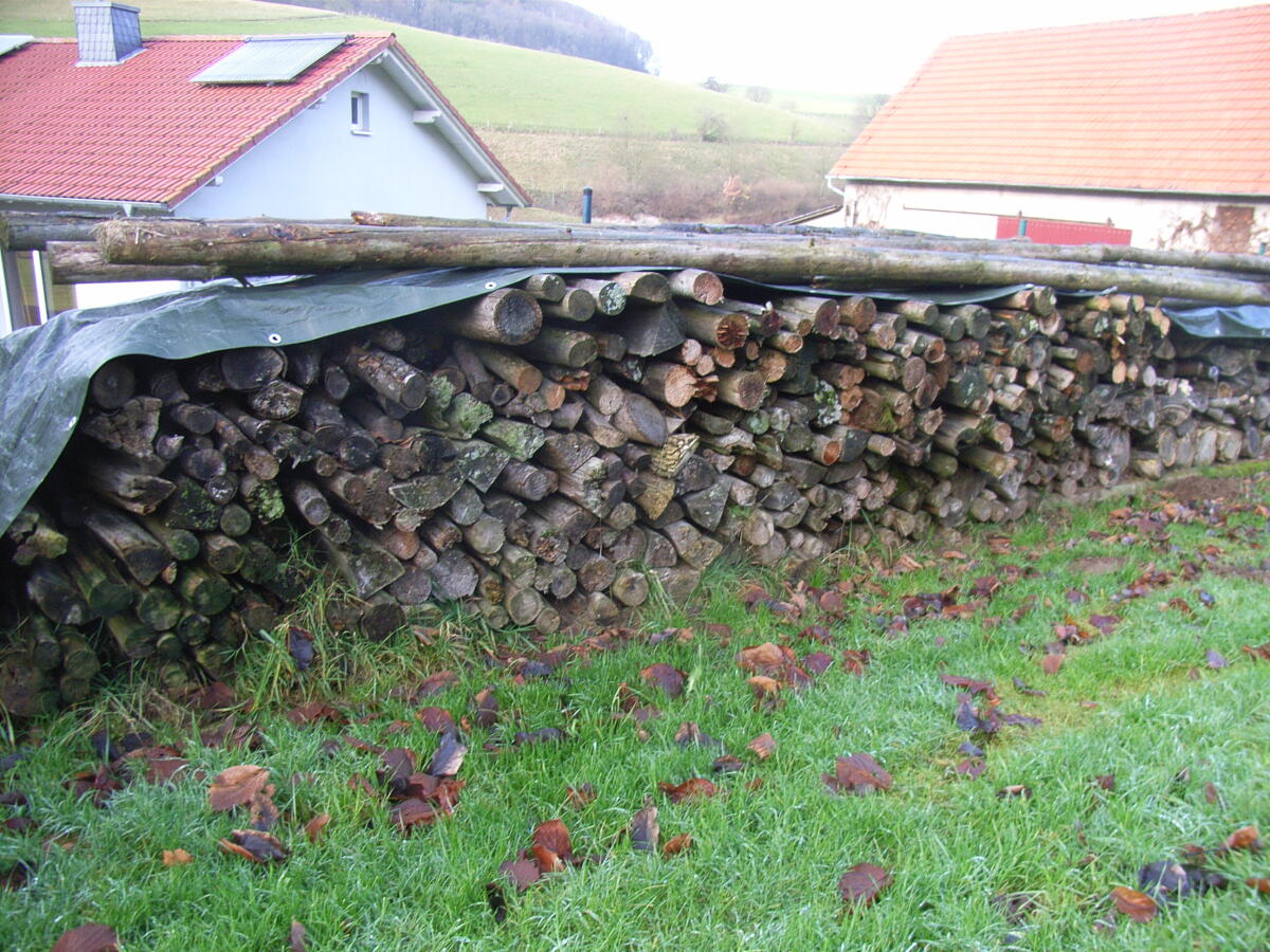 Brennholz aus Restholz / 2. Wahl 3