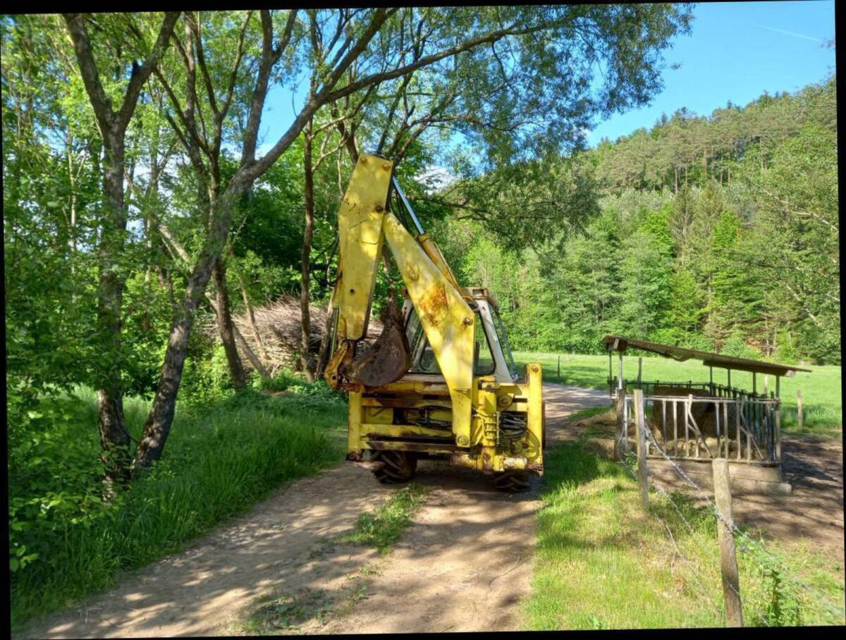 ICB Baggerlader 3 D 2