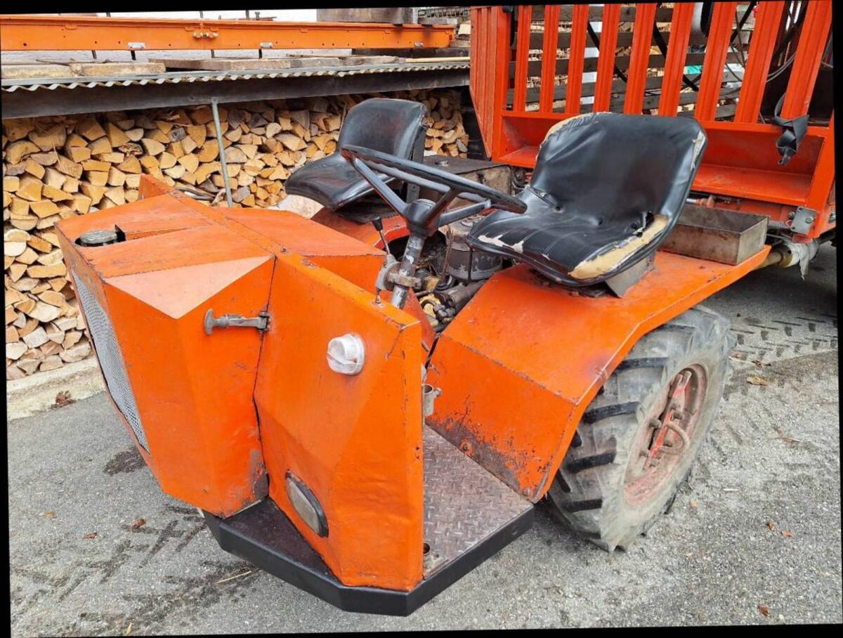 Steinbock Agil 3000 Transporter, kein Muli, Lindner 2