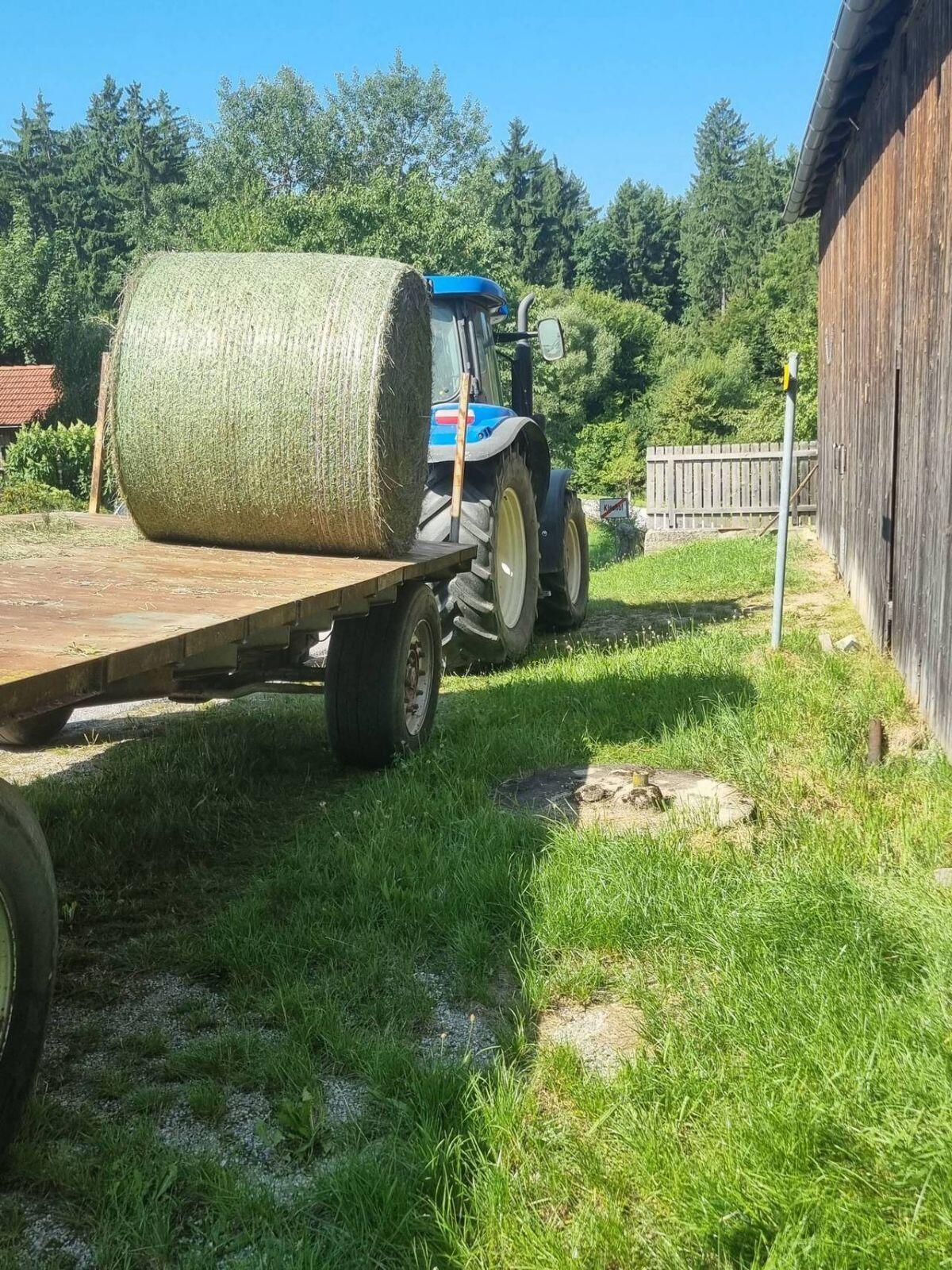 Heuballen 2. Schnitt 2