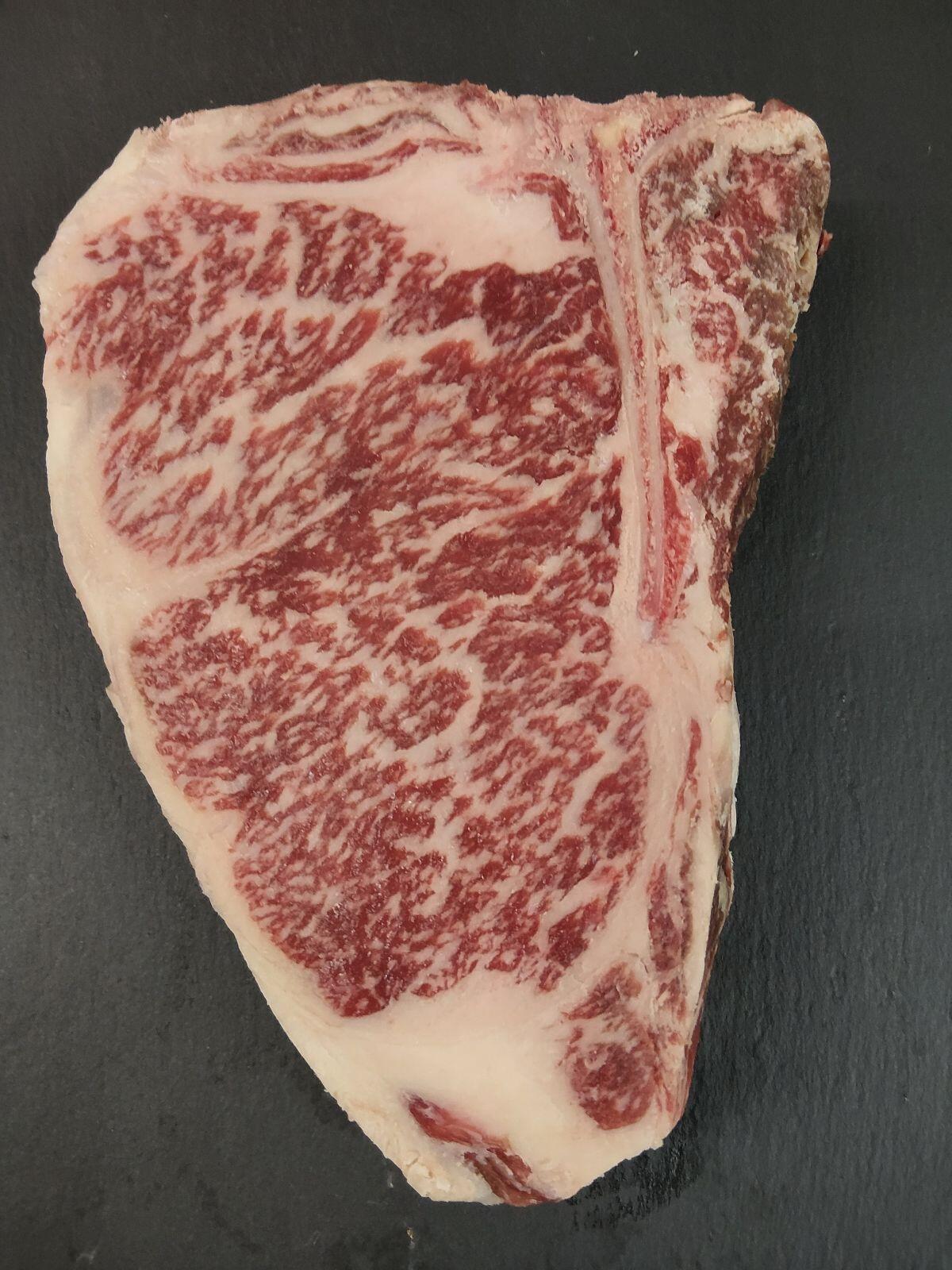 Fullblood Wagyu Kalbin trächtig 2