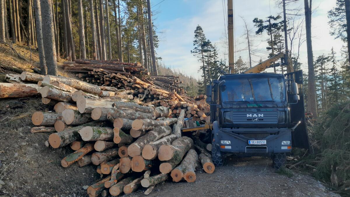 Seilbahn K306 MAN TGA 3