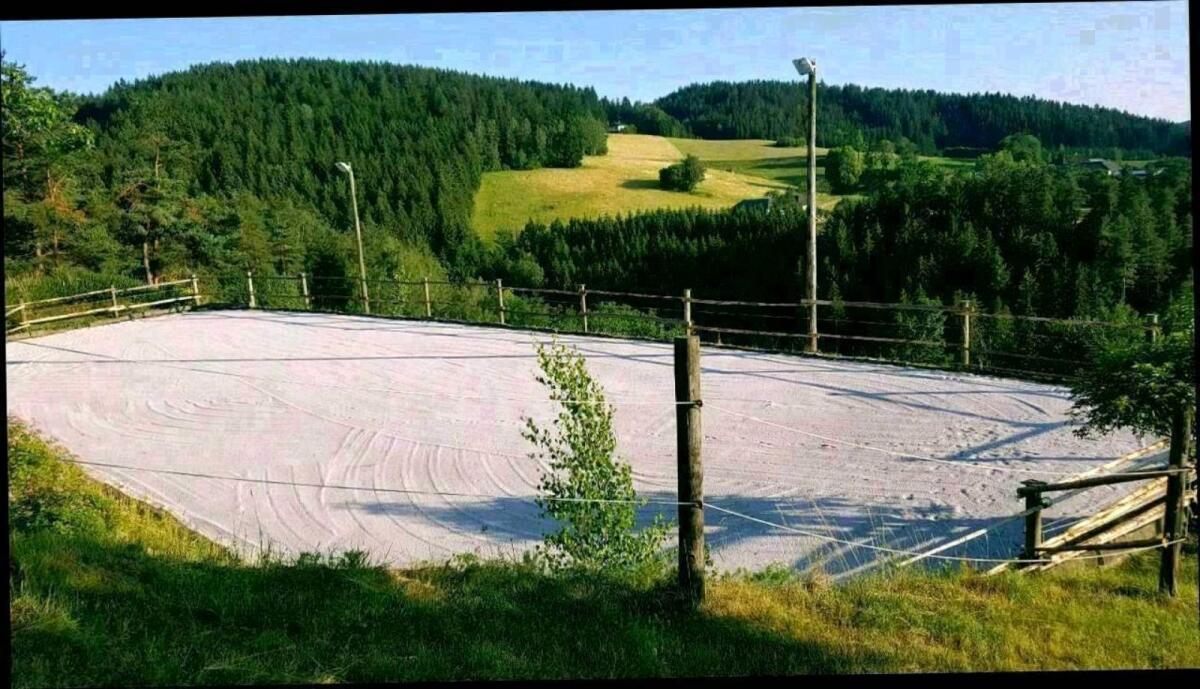 Pferdeeinstellplatz 2