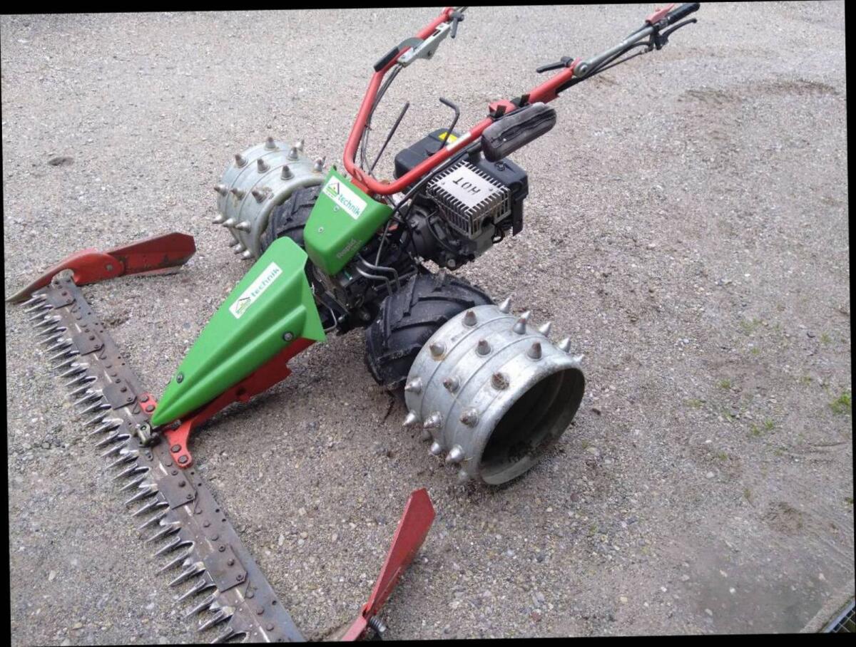 Rapid Swiss Motormäher 2