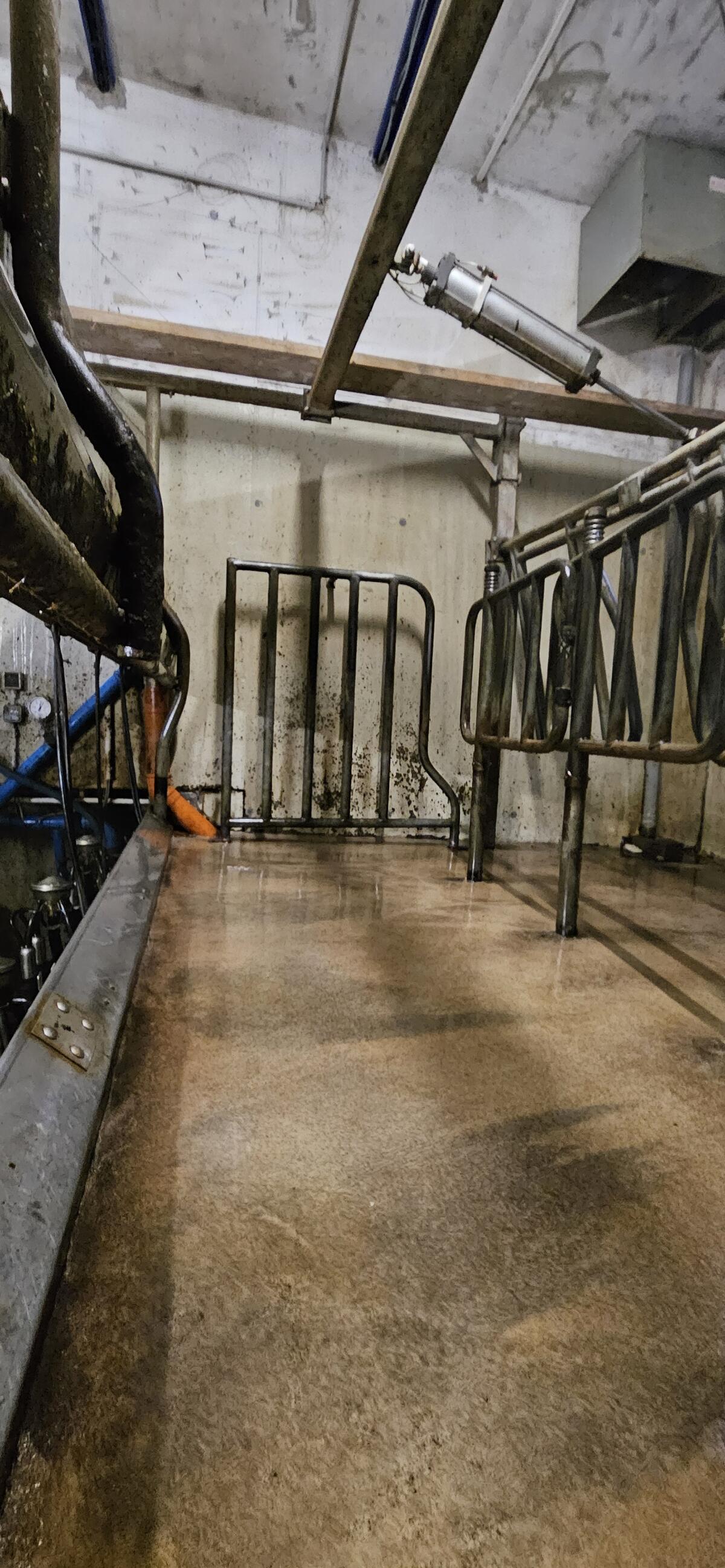 Side by Side Melkstand 2