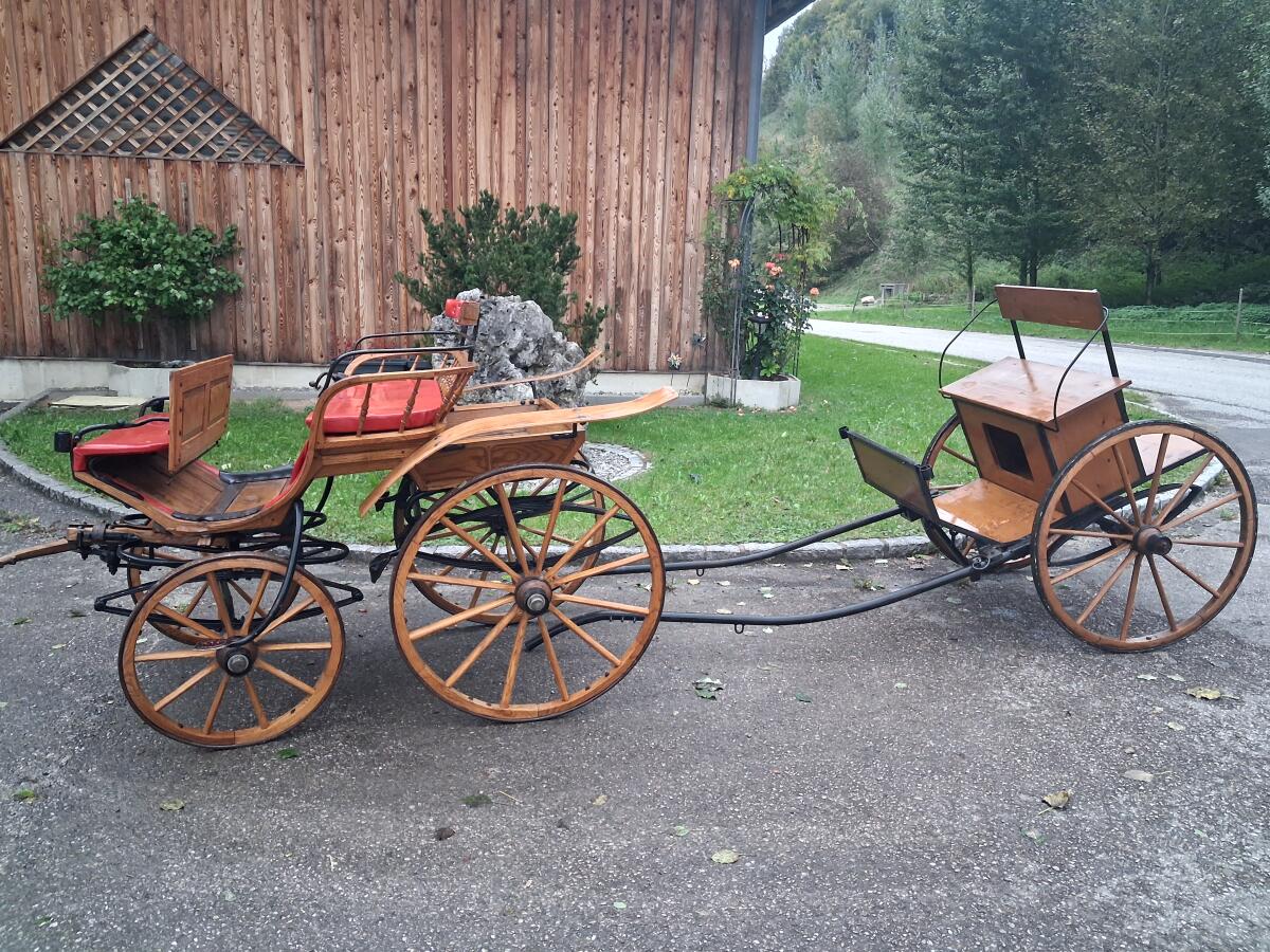 Pferdekutsche 2