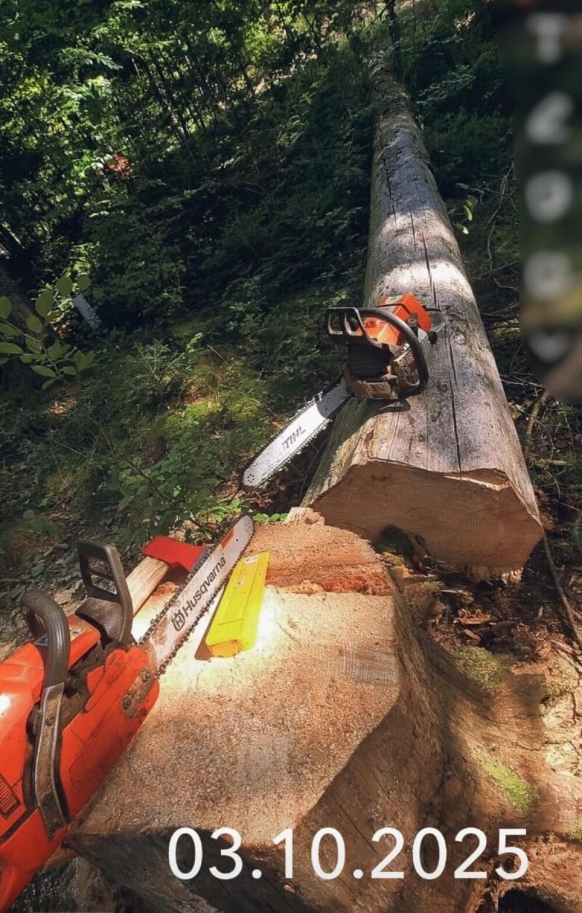 Suche Nebenjob, Fahrer, Aushilfe in Land & Forstwirtschaft 3