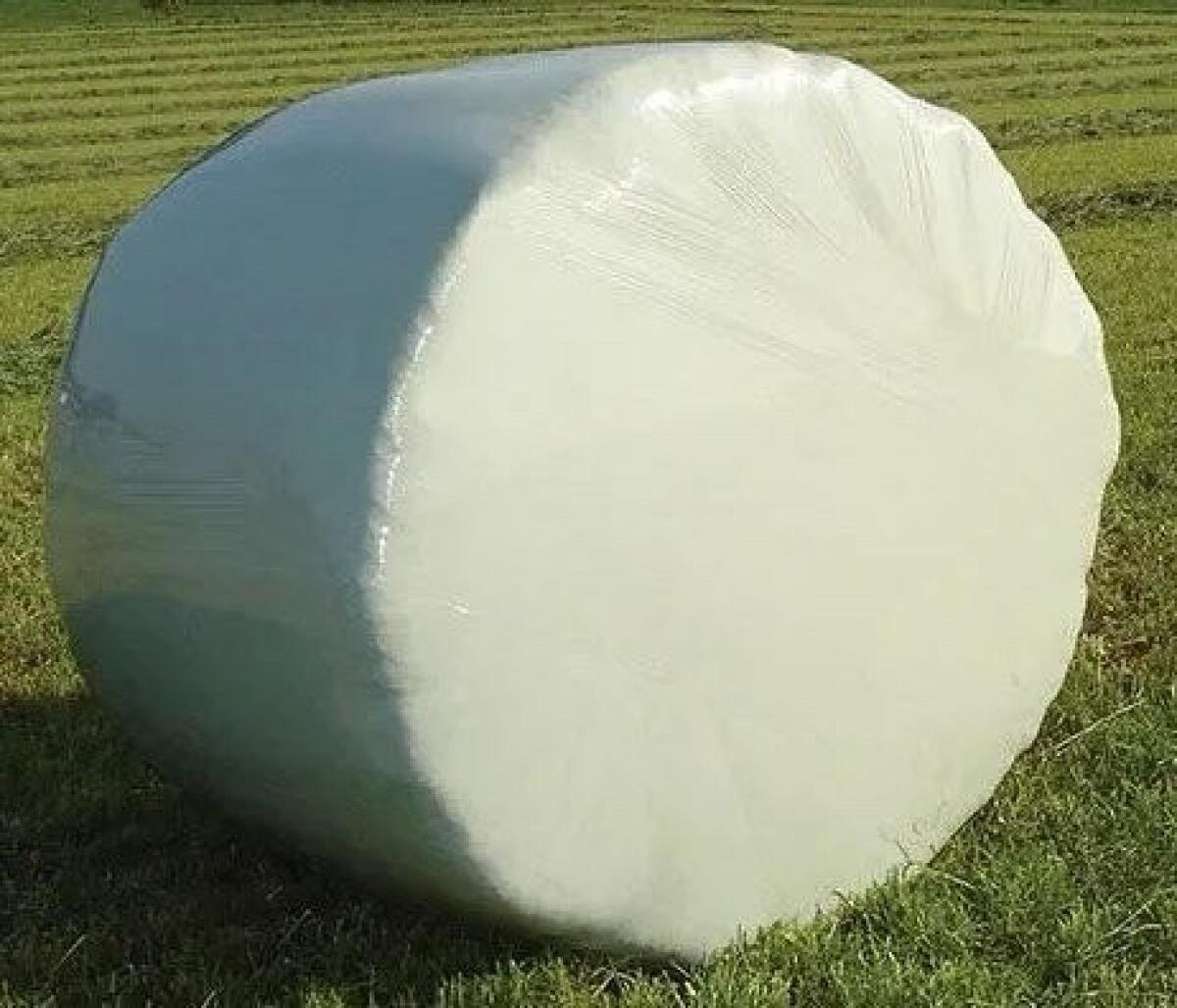 Siloballen zu verkaufen! 1