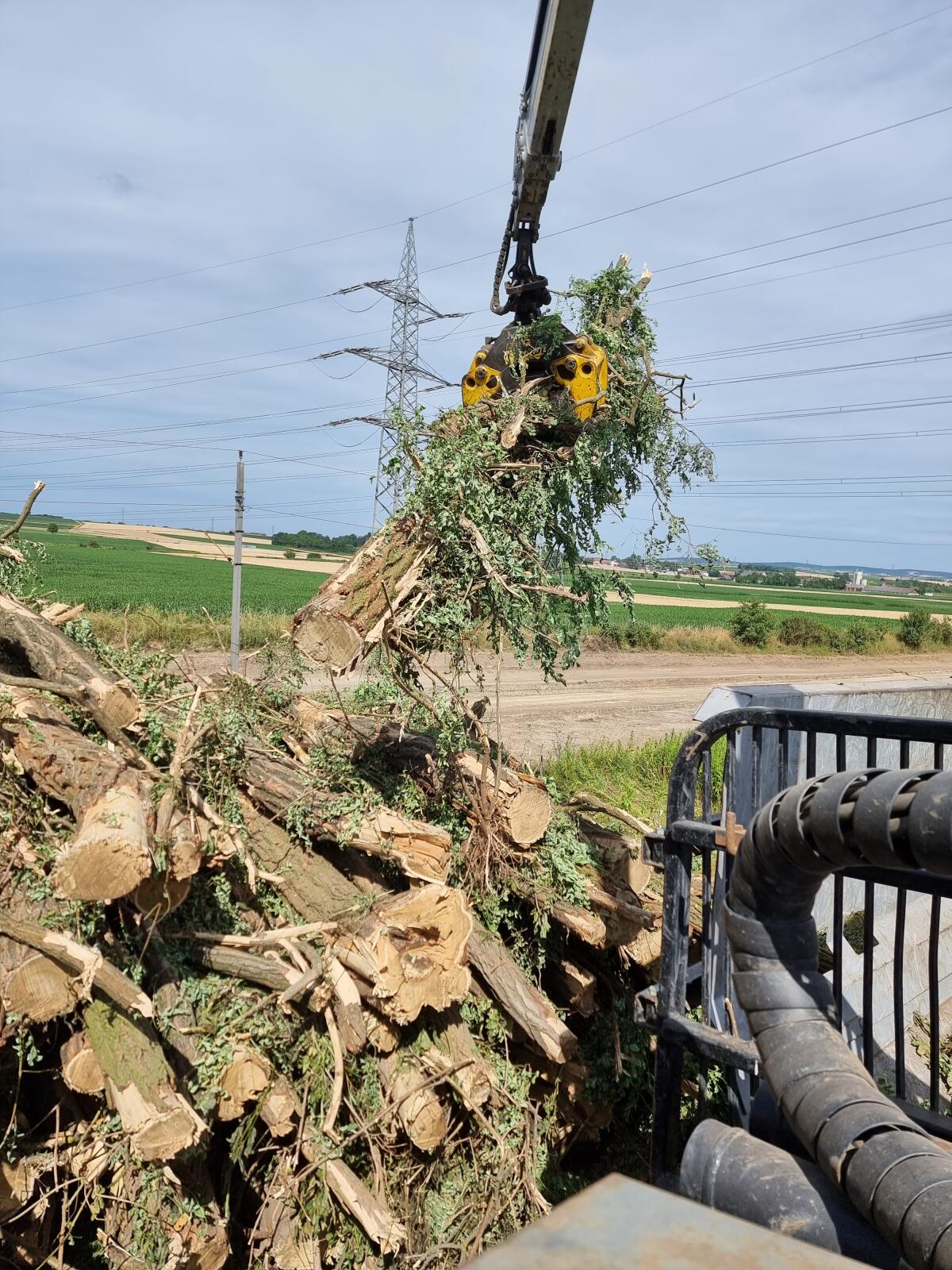 Suche Nebenjob, Fahrer, Aushilfe in Land & Forstwirtschaft 2