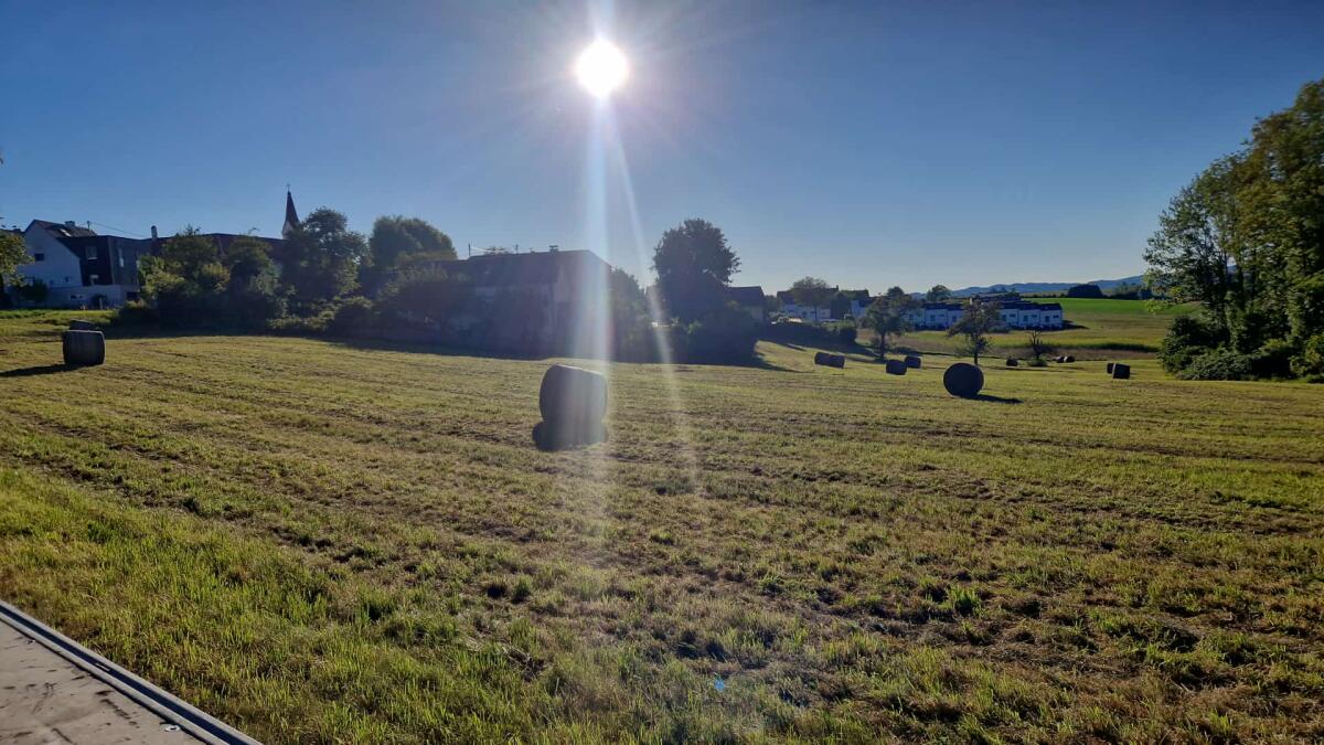Verkaufe BIO Heu 1. und 2. Schnitt Ernte 2025 2