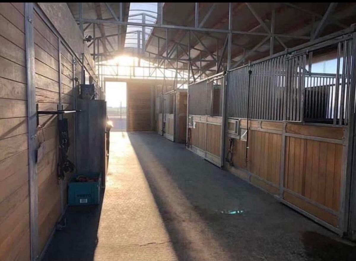 Pferdeeinstellplatz, Pferdebox 2