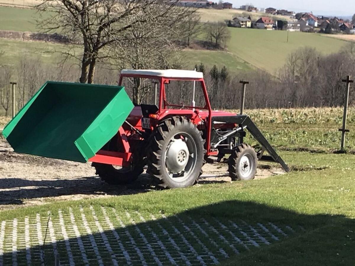 Massey Ferguson 135 Super Oldtimer 2