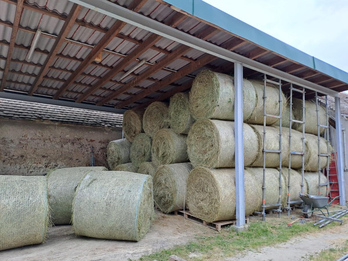 Heu 1. Schnitt 2025 1