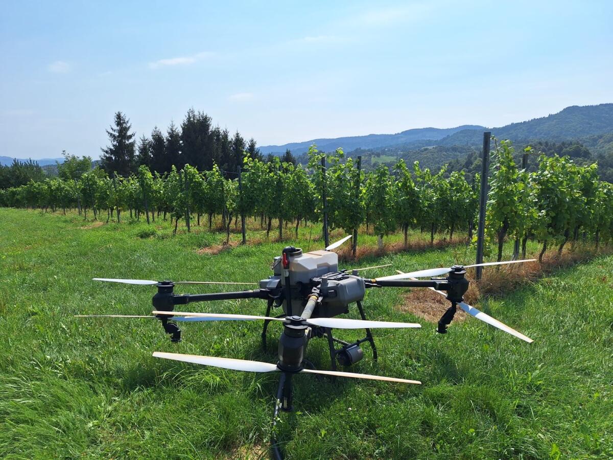 Agrardrohnen-Dienstleistung mit 8 Jahren Erfahrung 3