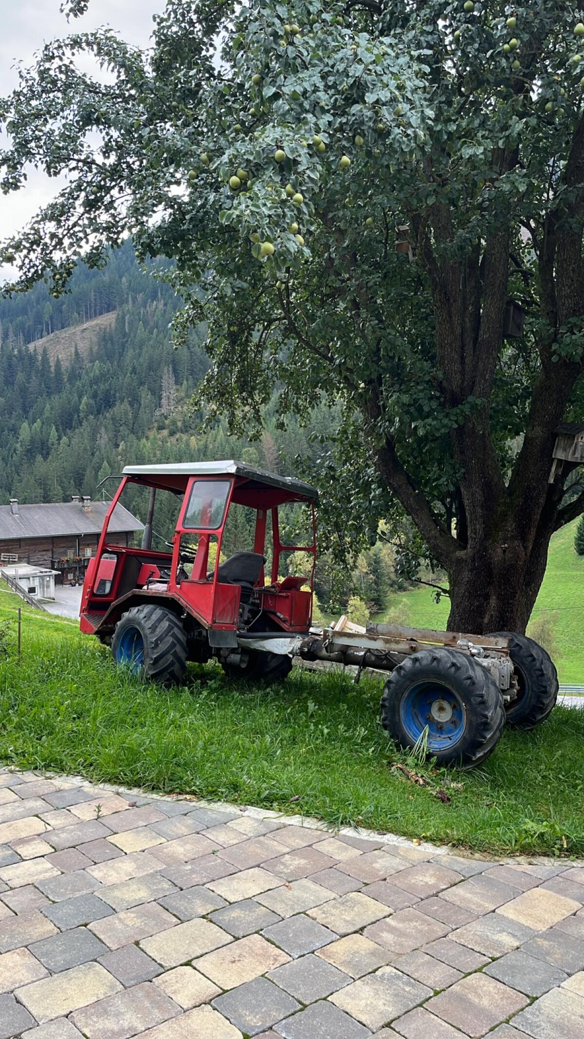 Agil Steinbock 3000 3